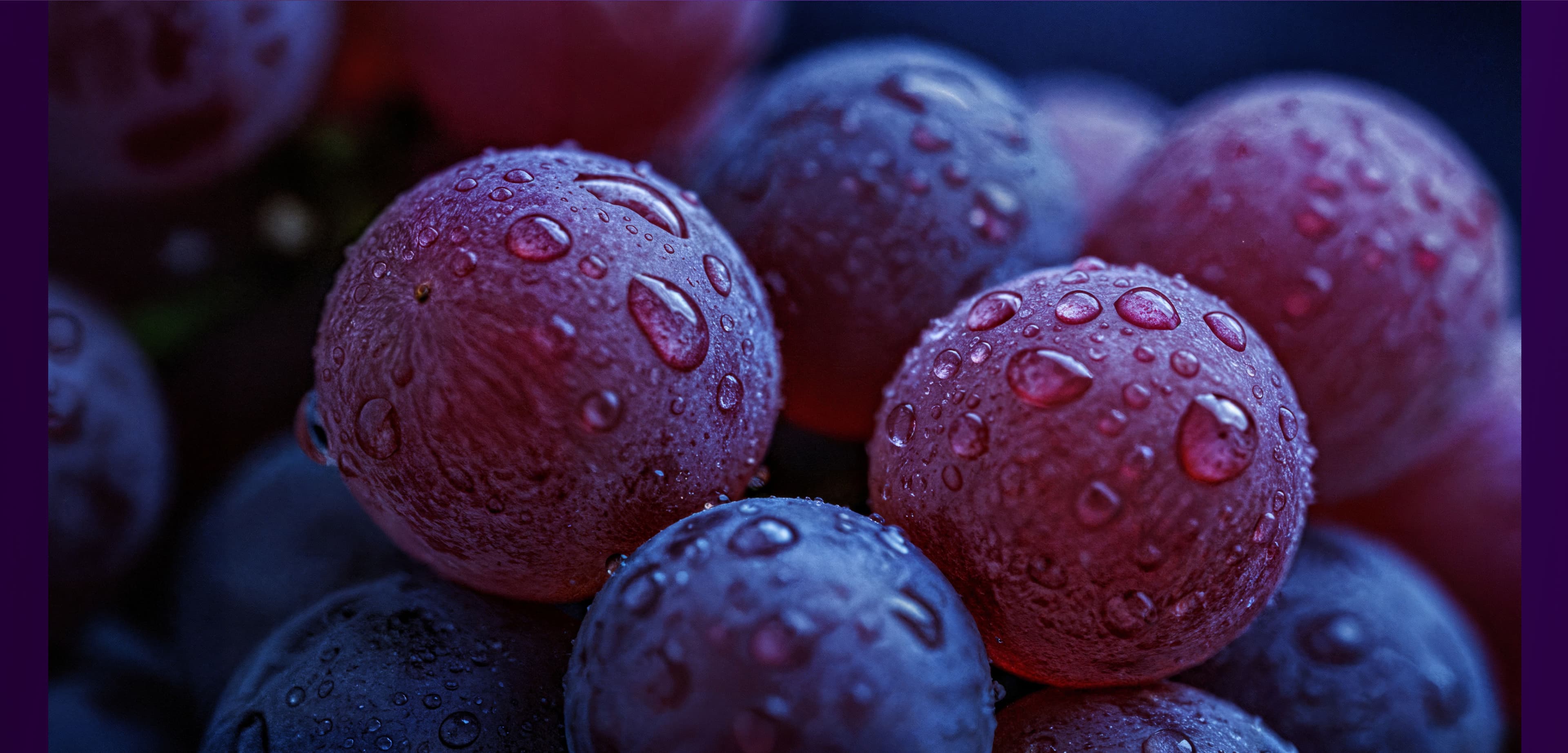 Grapes background